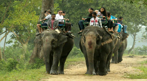 elephant safari booking