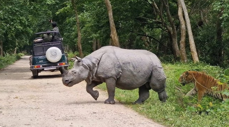 jeep safari booking