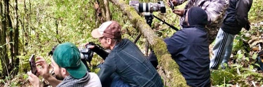 kaziranga photography tour