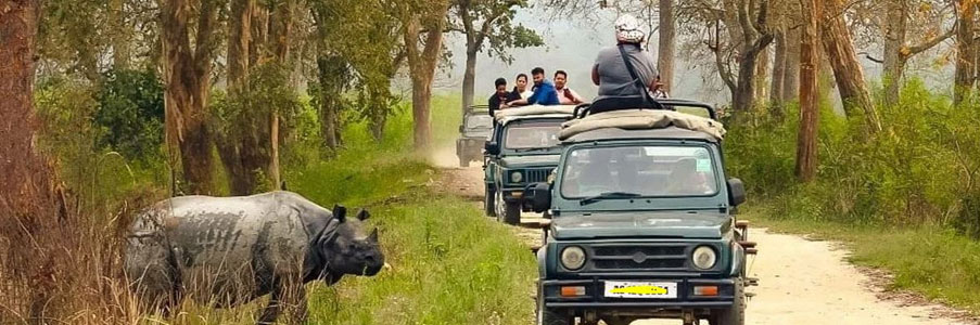 tour in kaziranga