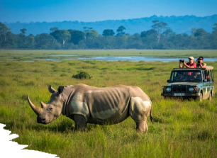 kaziranga news