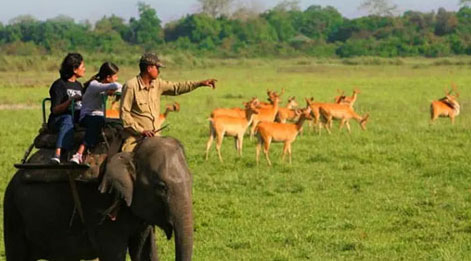 kaziranga tour